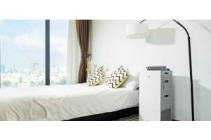 Giảm nguy cơ hen suyễn với máy lọc không khí nhỏ cho gia đình